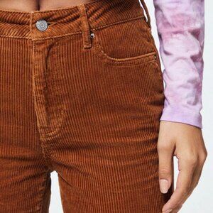 PacSun Spice Corduroy Mom Jeans Brown Pants/Size 28